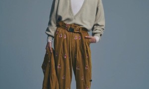 三菱空调官方网站(探索三菱空调：官方网站的全面指南)